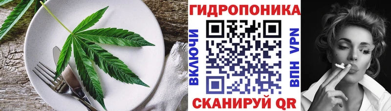 Canna-Cookies конопля дарнет шоп Петровск-Забайкальский