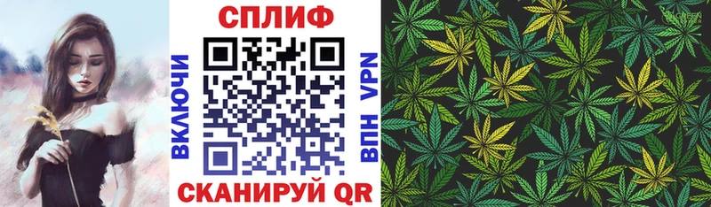 купить закладку  Петровск-Забайкальский  Шишки марихуана THC 21% 